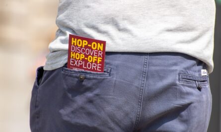 flyer, travel, tourism, tourist, advertisement, pamphlet, pocket, pamphlet, pamphlet, pamphlet, pamphlet, pamphlet, pocket