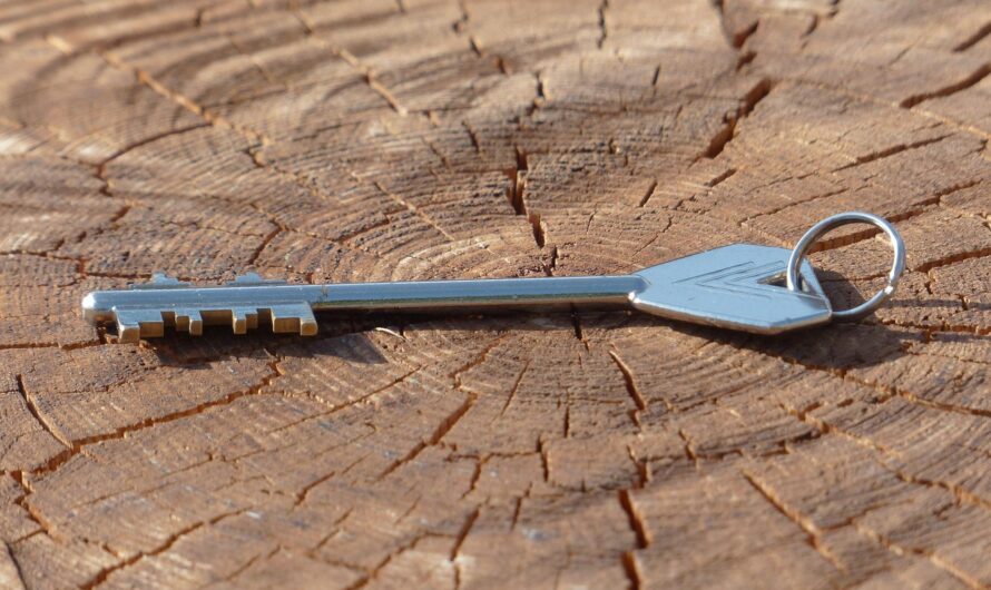 Schlüssel, Chip oder App? Die effektivsten Methoden der modernen Zutrittskontrolle im Vergleich