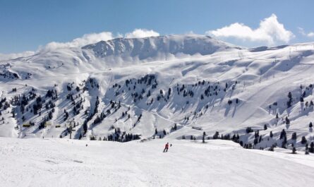 alps, austria, downhill skiing, ski vacation, skiarena wildkogel